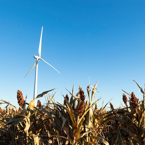 Ponderosa II will add 100 MW to the Ponderosa Wind Energy Center in Oklahoma.