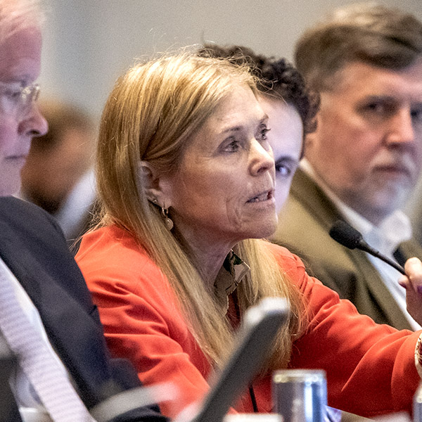 Marji Philips of LS Power speaks during a special meeting of the Markets and Reliability Committee on May 1.