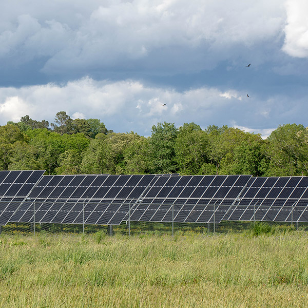 An array of solar panels in Hurlock, MD, photographed on May 3