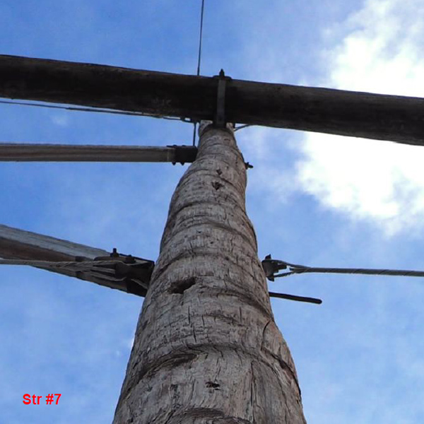 Damaged wood utility pole (National Grid) FI.jpg