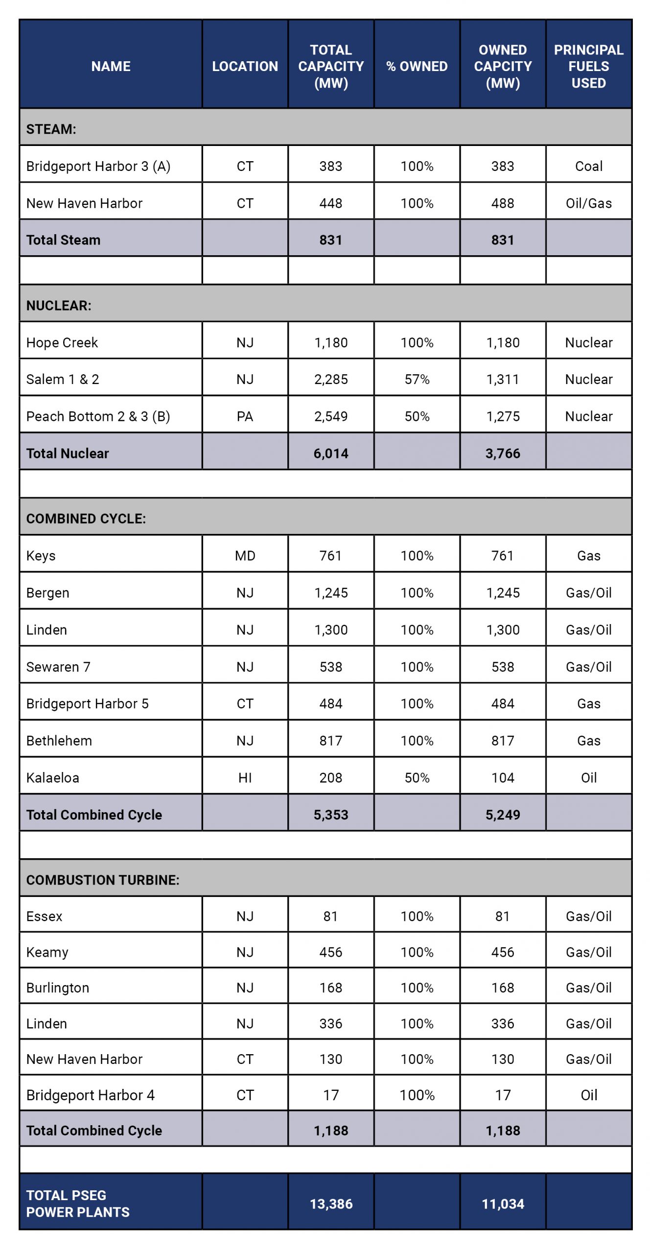 PSEG-Table-(PSEG)-Content.jpg